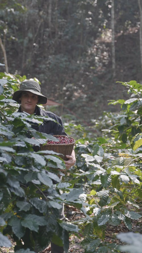 有关人, 垂直视频, 户外的免费素材视频