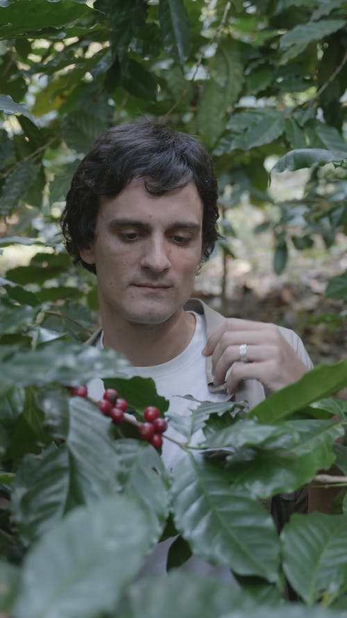 有关人, 咖啡, 垂直视频的免费素材视频