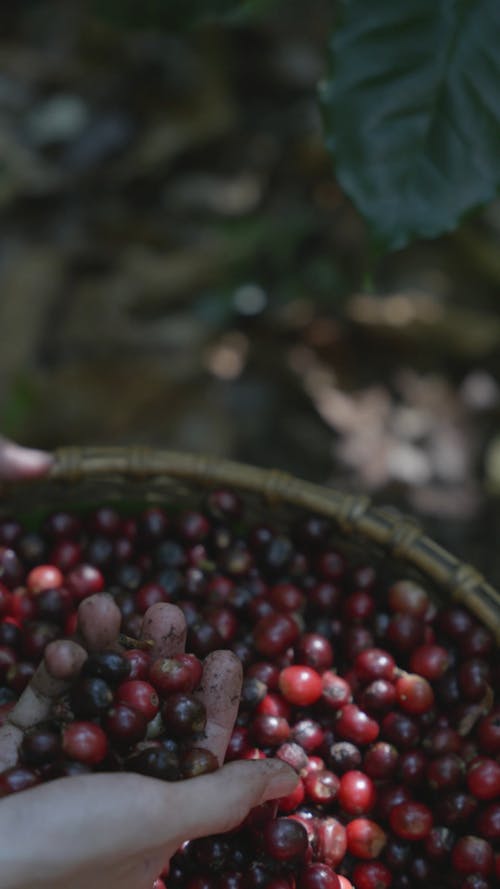 有关@户外, 垂直视频, 头顶射击的免费素材视频