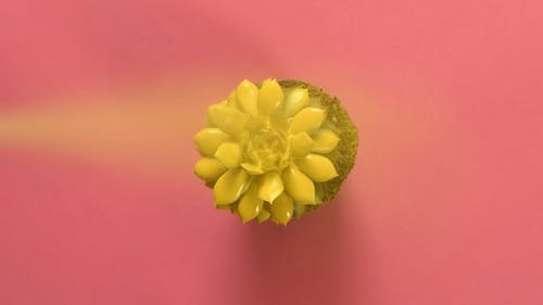 有关喷涂过多, 喷漆, 涂料的免费素材视频