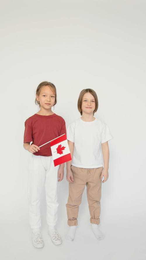 有关兄弟姐妹, 加拿大, 加拿大国旗的免费素材视频