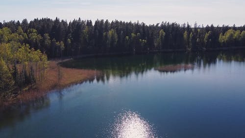有关冷静, 反射, 天性的免费素材视频