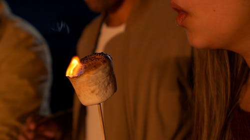 有关smores, 一群人, 享受的免费素材视频