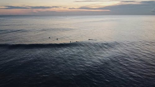 有关冷静, 天空, 招手的免费素材视频
