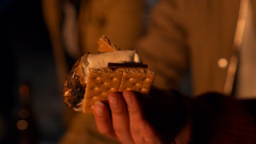 有关smores, 一群人, 享受的免费素材视频