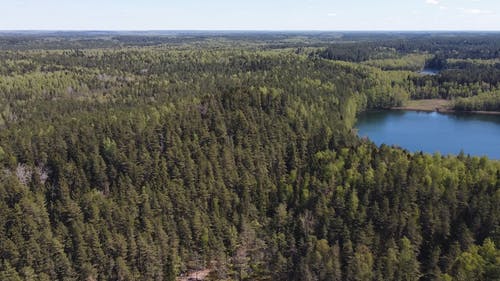 有关地平线, 天性, 天空的免费素材视频