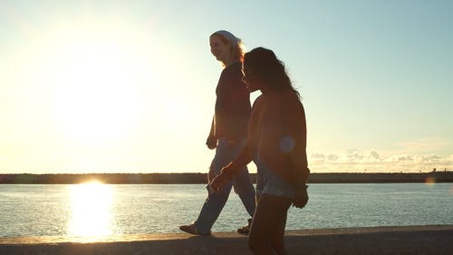 有关birds_flying, 友谊, 墨镜的免费素材视频