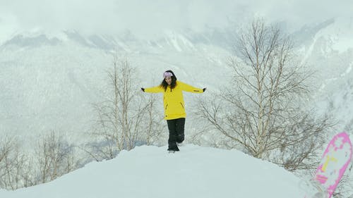 有关下雪的, 休闲, 光秃秃的树木的免费素材视频