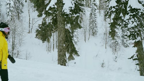 有关4k, 下坡, 下雪的的免费素材视频