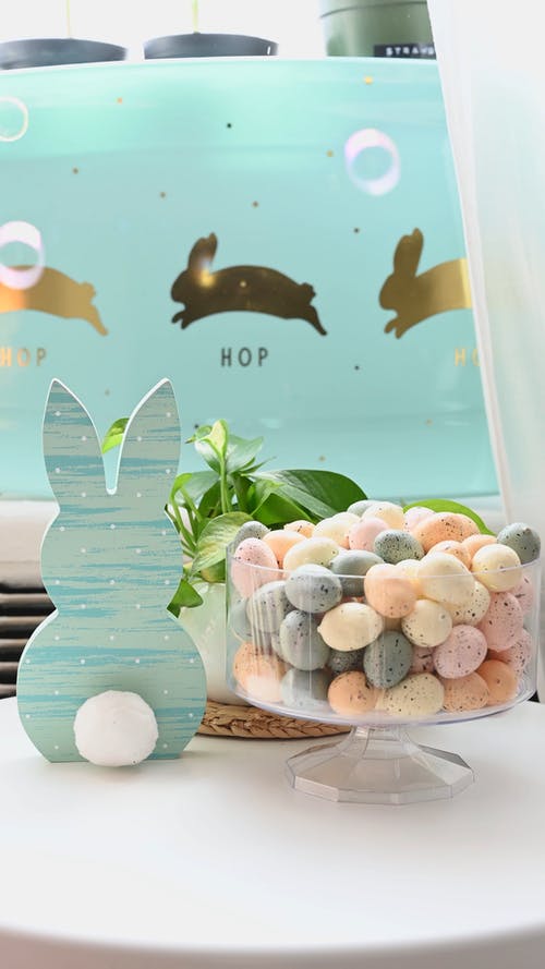 有关兔子, 垂直视频, 室内的免费素材视频