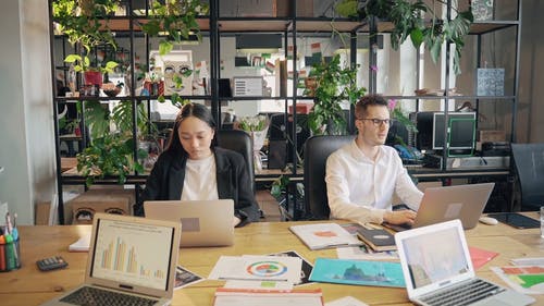 有关室内, 工作的, 工作者的免费素材视频