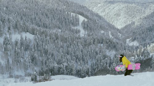 有关下坡, 下雪的, 休闲的免费素材视频