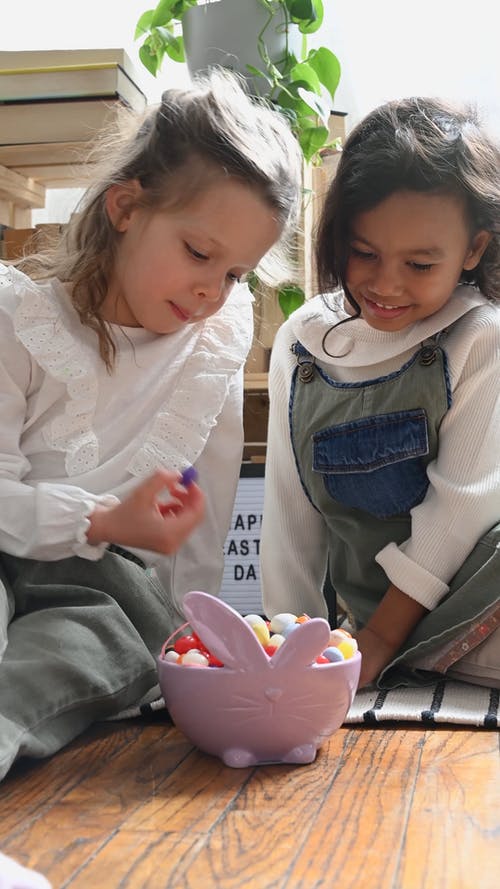 有关一起, 假日, 可爱的免费素材视频