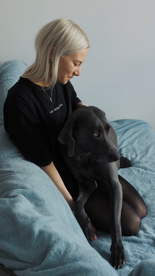 有关一起, 动物, 友谊的免费素材视频