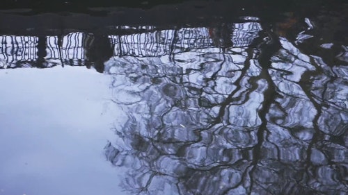 有关反射,水,水波的免费素材视频