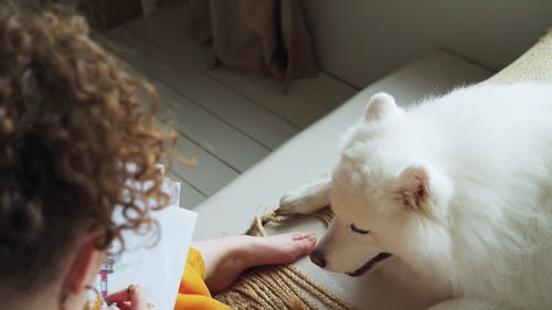 有关人, 伴侣, 女人的免费素材视频