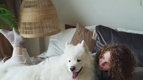 有关＃室内, 内部, 女人的免费素材视频