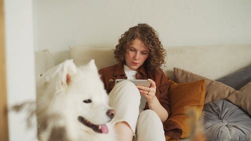 有关3C用品, 动物, 在家的免费素材视频