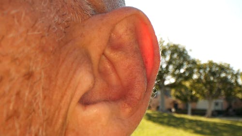 有关低角度视图, 户外, 极端的特写的免费素材视频