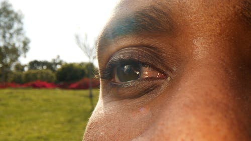 有关人, 公园, 反射的免费素材视频