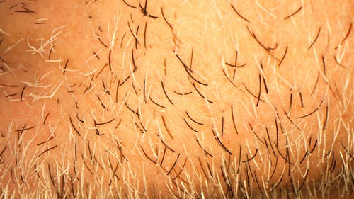有关垂直视频, 基座射击, 极端的特写的免费素材视频