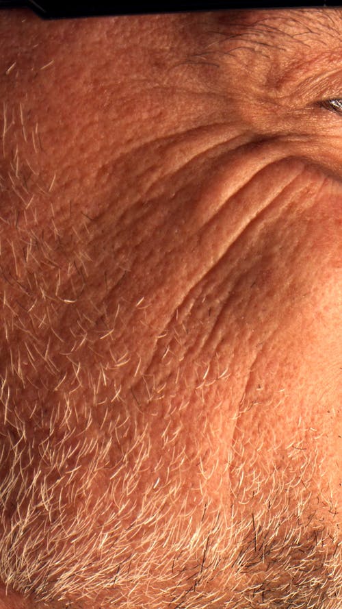 有关人, 垂直视频, 微距拍摄的免费素材视频