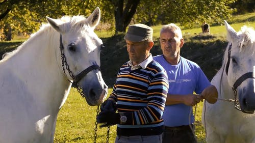 有关人, 休闲, 夏天的免费素材视频