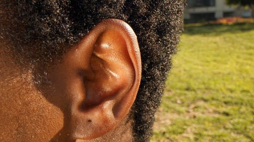 有关@户外, 家伙, 成人的免费素材视频