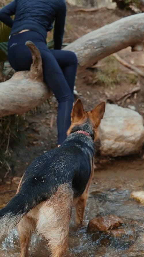 有关@户外, facebook的故事, instagram故事的免费素材视频