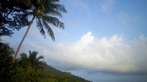 有关ko samui, 优美的风景, 低角度拍摄的免费素材视频