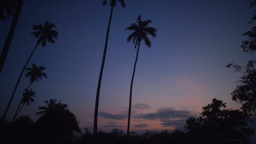 有关剪影, 和平的, 夜空的免费素材视频