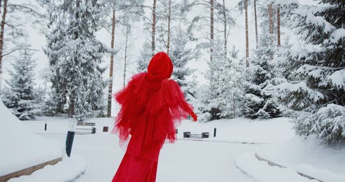 有关下雪的天气, 优美, 公园的免费素材视频