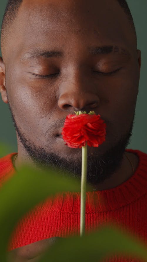 有关人, 垂直视频, 工作室的免费素材视频