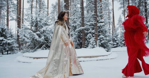 有关下雪的天气, 人, 假装的免费素材视频