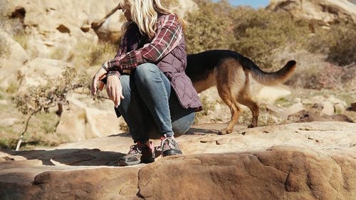 有关健行, 冒险, 夏天的免费素材视频