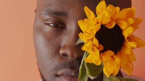 有关orange_background, 人, 向日葵的免费素材视频