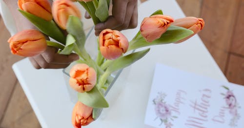 有关手, 插花, 整理的免费素材视频