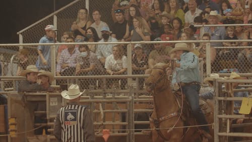 有关人, 动物, 帽子的免费素材视频