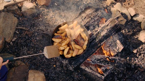 有关原本, 户外, 木炭的免费素材视频