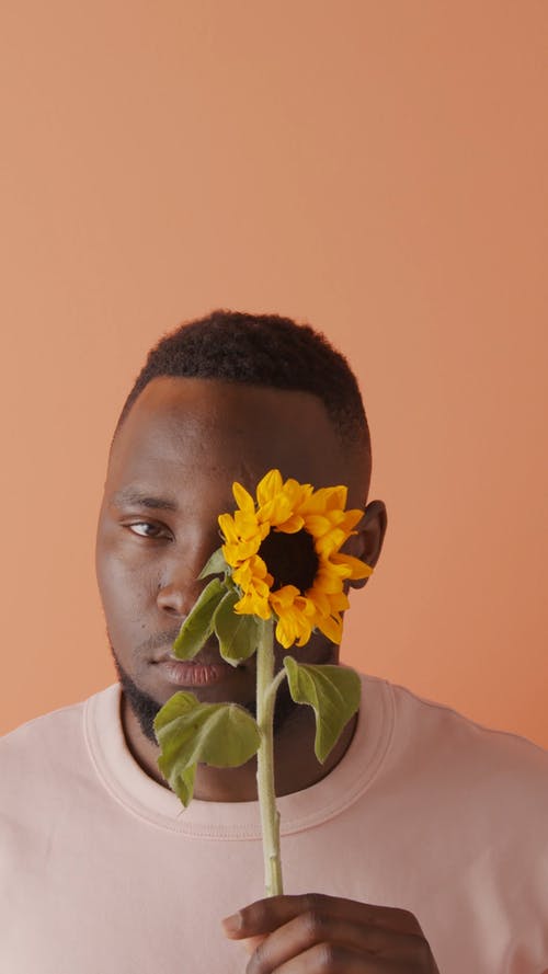 有关人, 向日葵, 垂直视频的免费素材视频