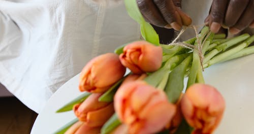 有关一束鲜花, 室内, 爱的免费素材视频