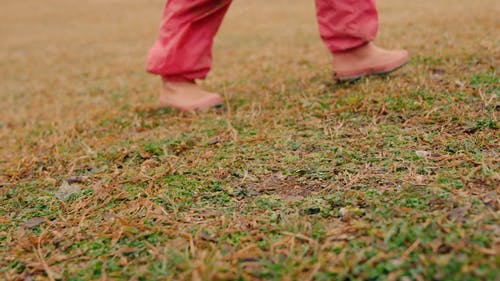 有关不露面, 周围, 小孩的免费素材视频