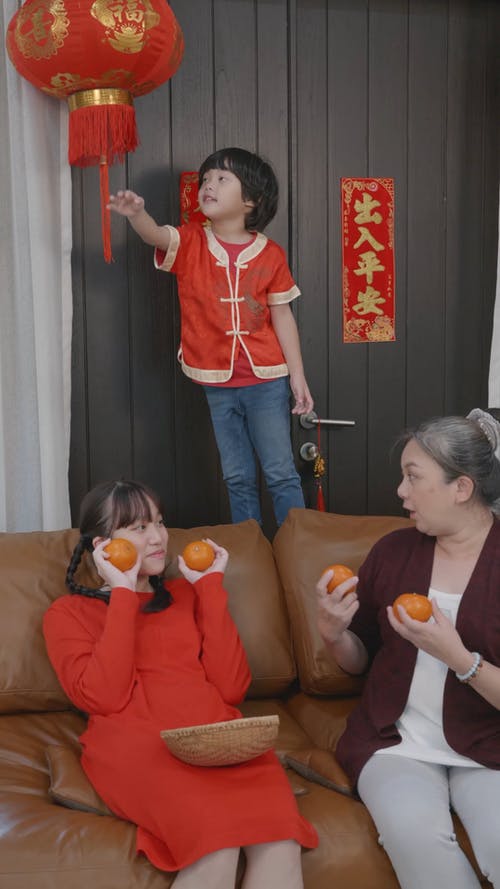 有关一起, 中国新年, 儿子的免费素材视频