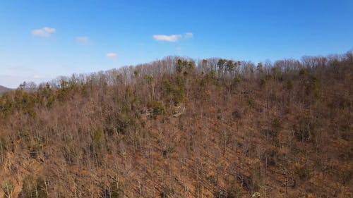 有关4k视频, 天性, 山的免费素材视频