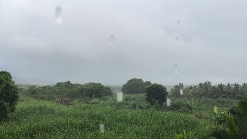 有关下雨,天性,很重的的免费素材视频