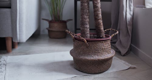 有关scandi, 传统, 内部的免费素材视频