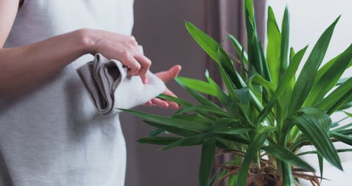 有关内部, 在家, 在窗户旁边的免费素材视频