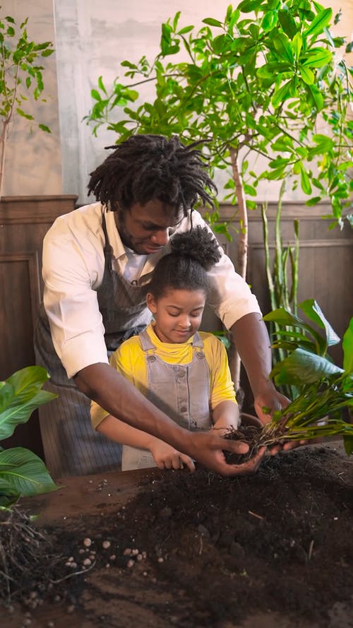 有关一起, 享受, 休闲的免费素材视频