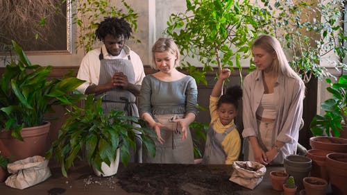 有关人, 休闲活动, 利益的免费素材视频