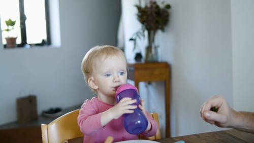 有关乾草, 叉子, 可爱的的免费素材视频